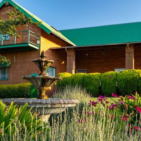Bed and Breakfast Olive Tree Farm à Magaliesburg Extérieur photo