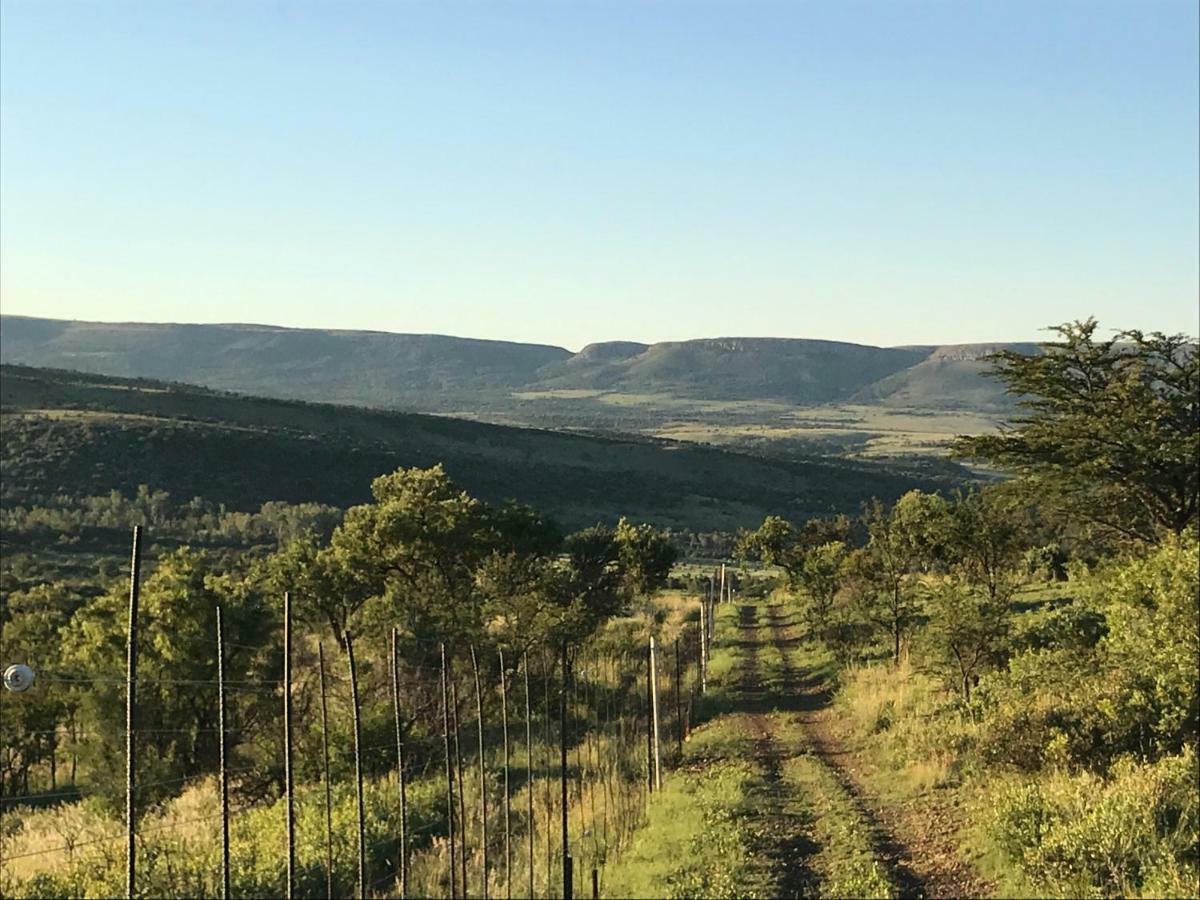 Bed and Breakfast Olive Tree Farm à Magaliesburg Extérieur photo