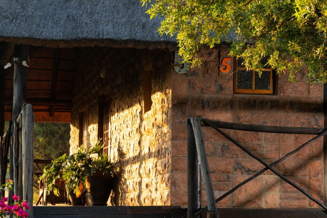Bed and Breakfast Olive Tree Farm à Magaliesburg Extérieur photo