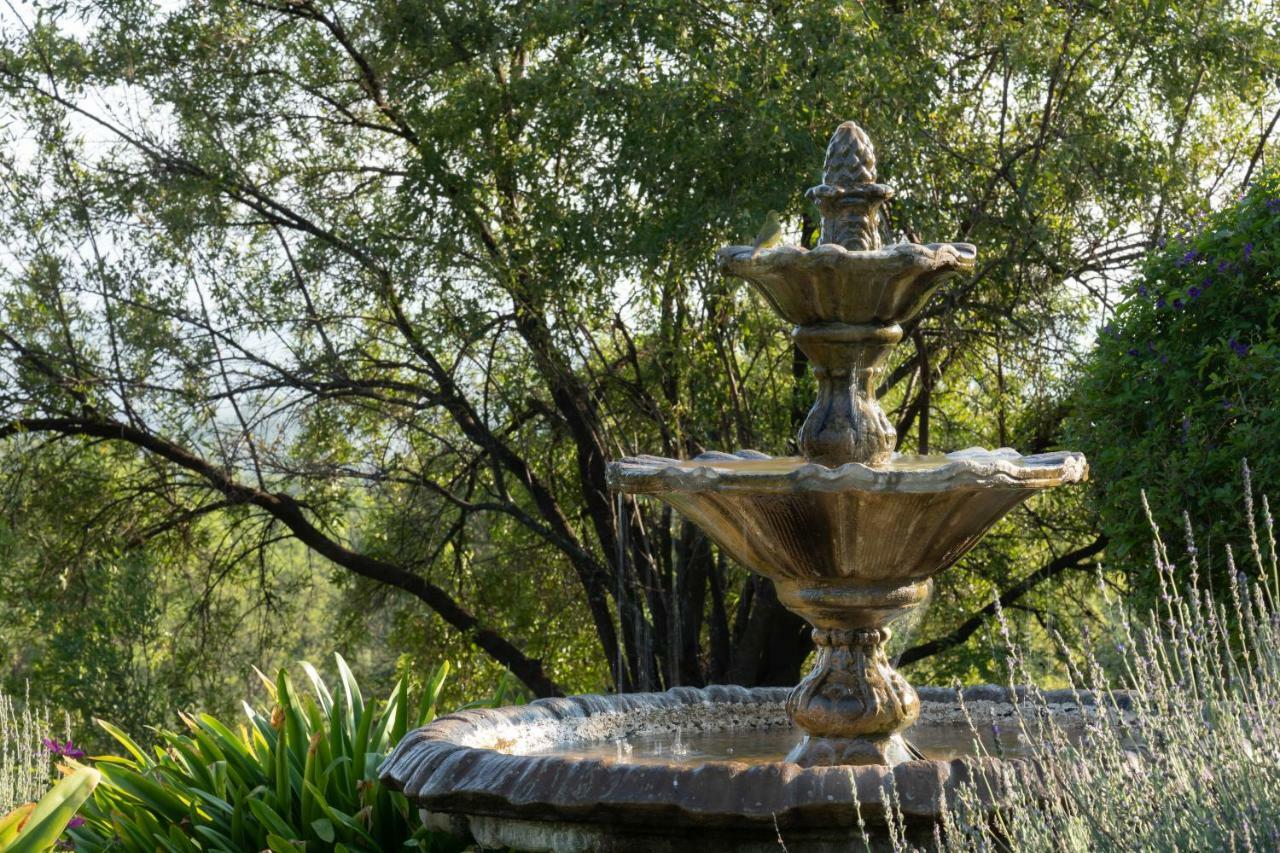 Bed and Breakfast Olive Tree Farm à Magaliesburg Extérieur photo