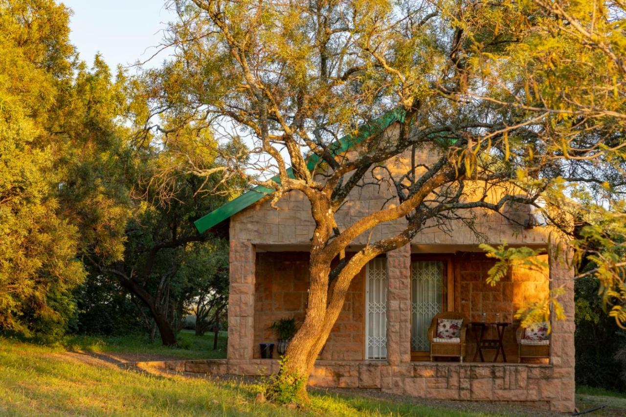 Bed and Breakfast Olive Tree Farm à Magaliesburg Extérieur photo