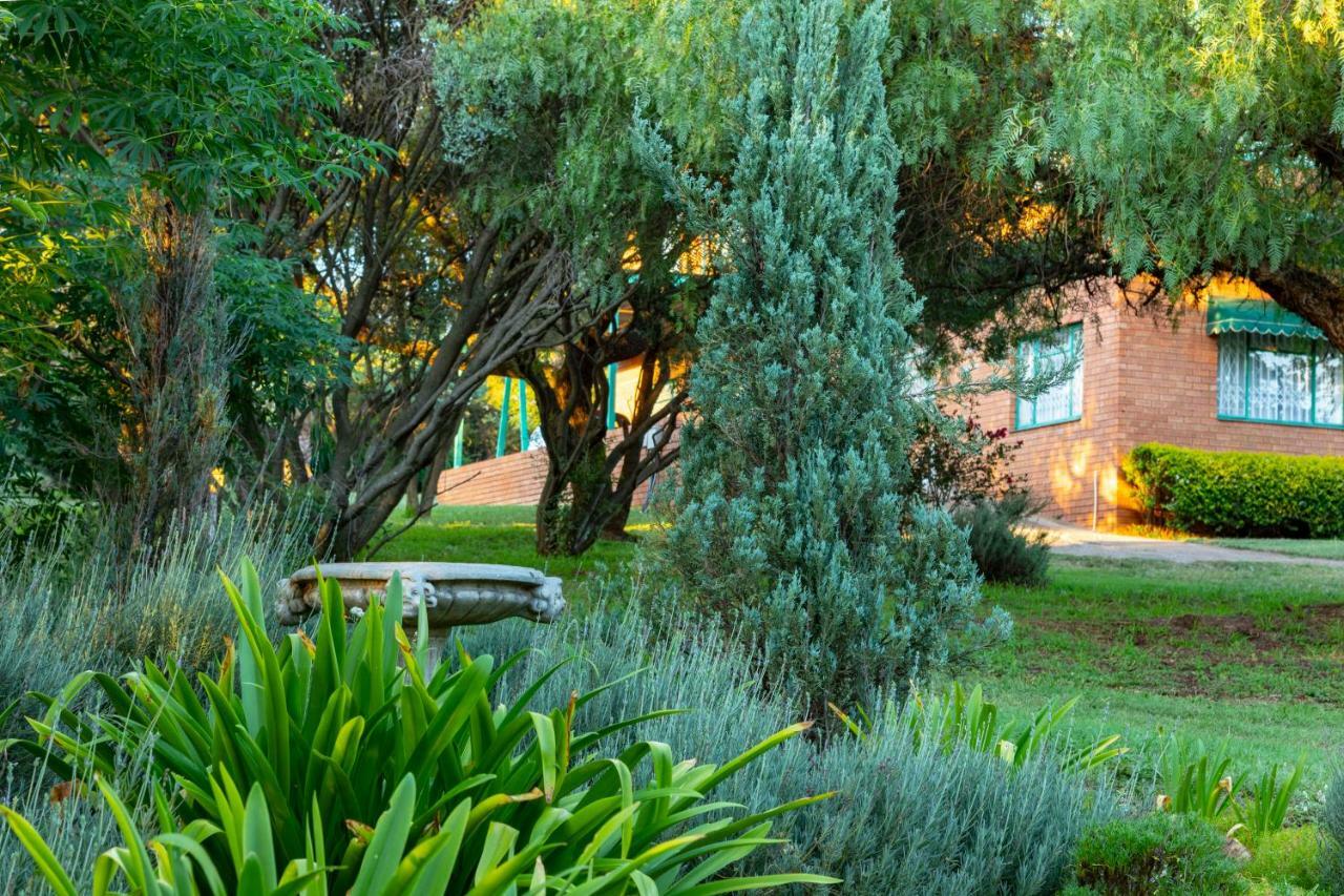 Bed and Breakfast Olive Tree Farm à Magaliesburg Extérieur photo